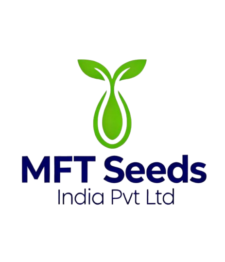 MFT Seeds